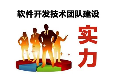 自建技術團隊開發軟件可以嗎？