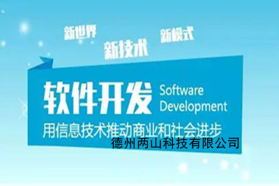 如何選擇靠譜的德州軟件開發公司?(圖1)