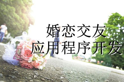 如何開發出一款優秀的婚戀交友應用程序(圖1)