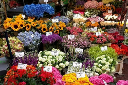 花卉采購APP開發的功能及其優勢(圖2)