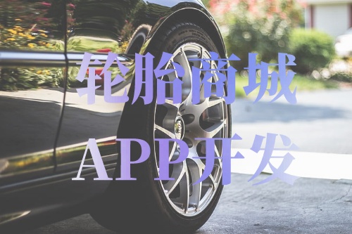 德州輪胎商城APP開發功能介紹(圖1)