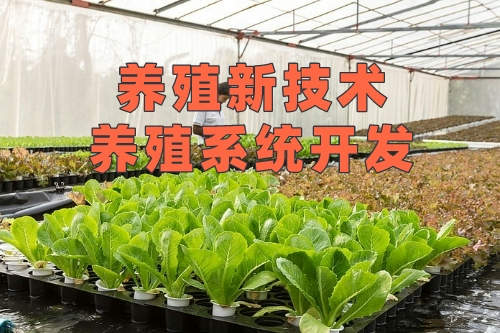 養殖新技術-養殖系統開發(圖2)