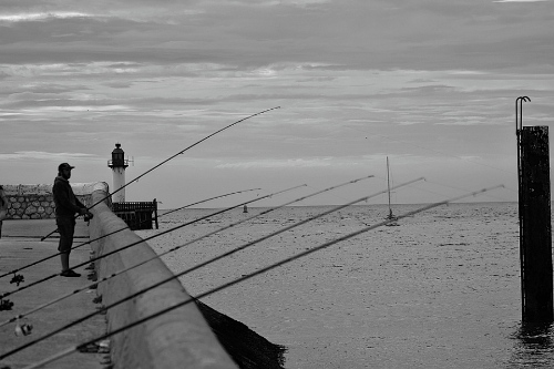 釣魚app開發有哪些功能(圖1)