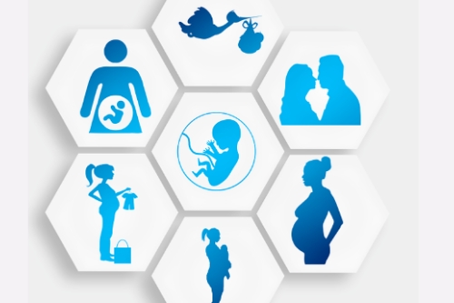 孕期指導app開發的功能包括什么(圖1) 孕期指導app開發的功能包括什么(圖1)