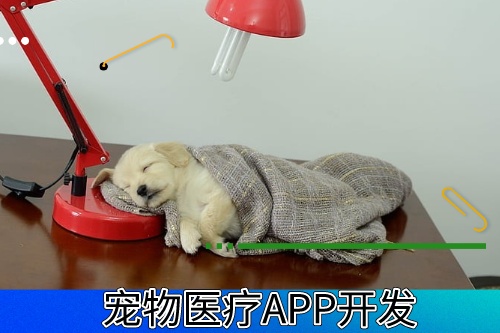 德州寵物醫(yī)療APP開發(fā)有什么功能模塊(圖1)