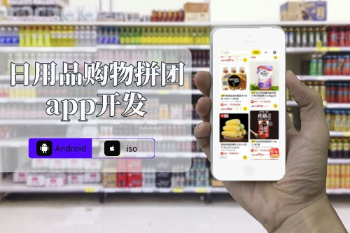 日用品購物拼團app開發解決方案(圖1) 日用品購物拼團app開發解決方案(圖1)