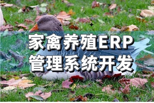 家禽養殖行業ERP管理系統開發有哪些好處(圖1)