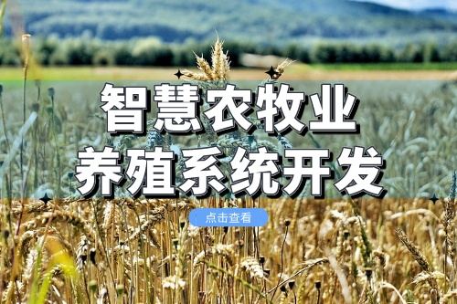 智慧農牧業養殖系統開發會給企業帶來什么價值(圖1)