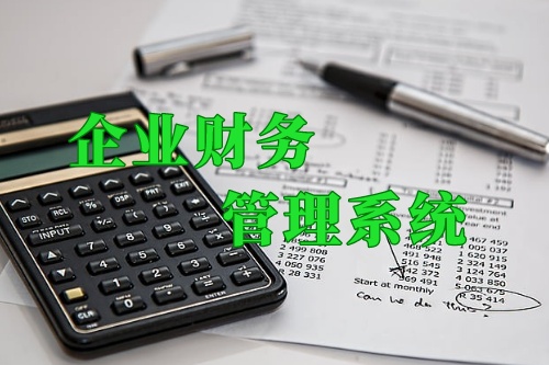 德州企業內部財務管理系統(圖1) 德州企業內部財務管理系統(圖1)