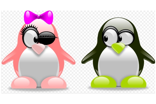 市場對婚戀小程序開發的需求(圖1) 市場對婚戀小程序開發的需求(圖1)