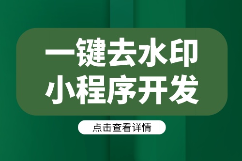 德州一鍵去水印小程序開發方案及功能介紹(圖1)