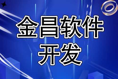 金昌軟件開發，豐富互聯網信息化項目服務經驗(圖2)