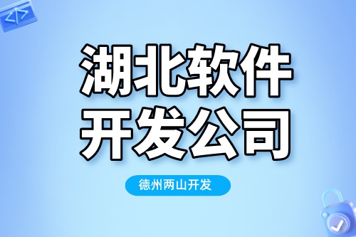 選擇湖北軟件開發(fā)公司，需要考慮哪些因素